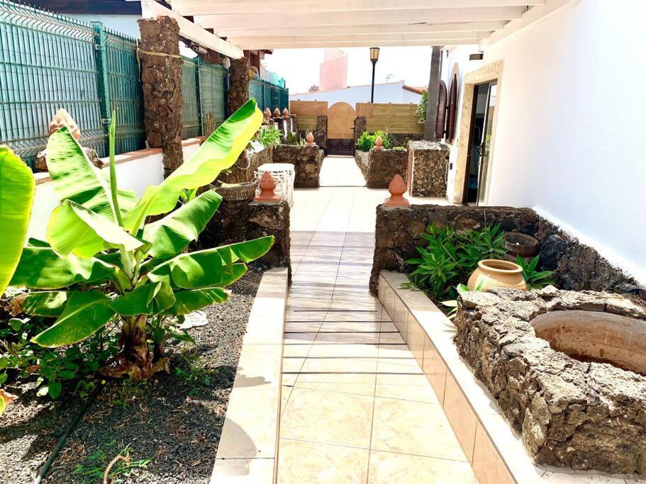 Appartement Casa Gato à Corralejo Extérieur photo